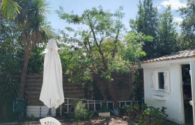 Elagueur Le Bouscat